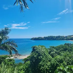Csompo Empire & Jamaica